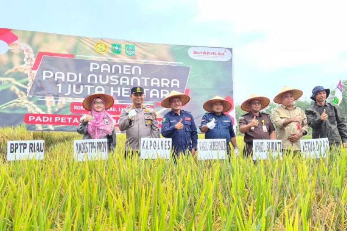 Provinsi Riau turut andil panen padi nusantara 1 juta hektare