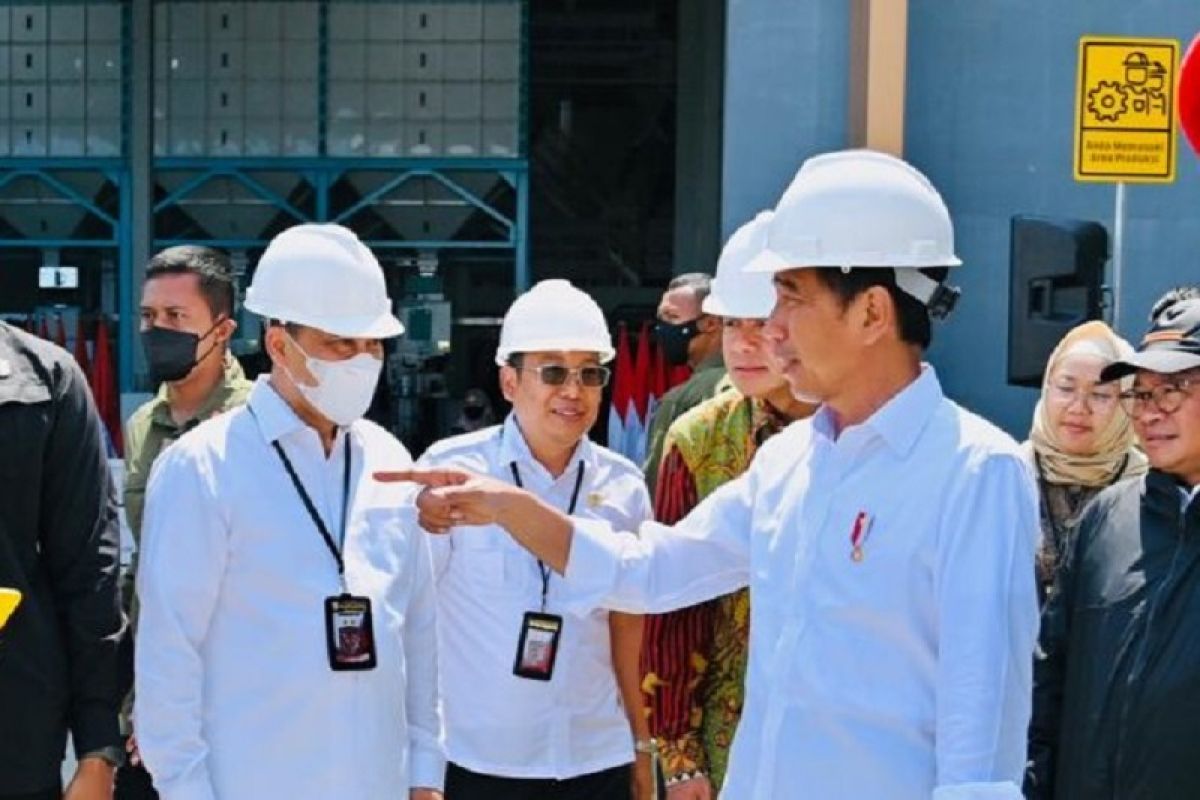 Presiden Jokowi minta Bulog serap gabah petani sebanyak-banyaknya