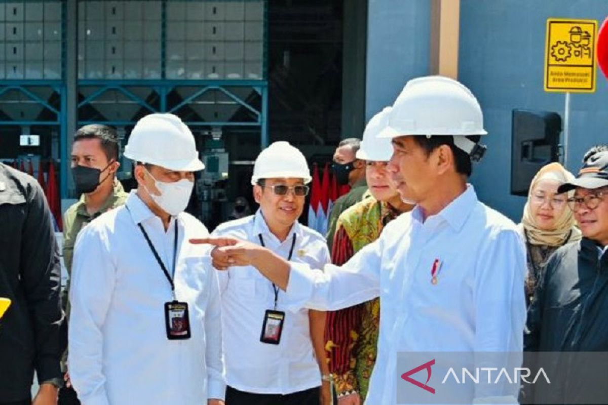 Presiden perintahkan Bulog serap gabah petani sebanyak-banyaknya