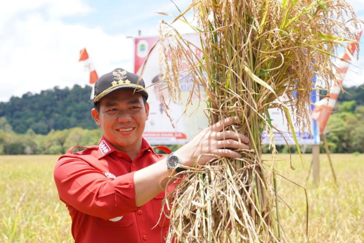 Fransiskus Diaan ajak semua pihak gotong royong kembangkan pertanian