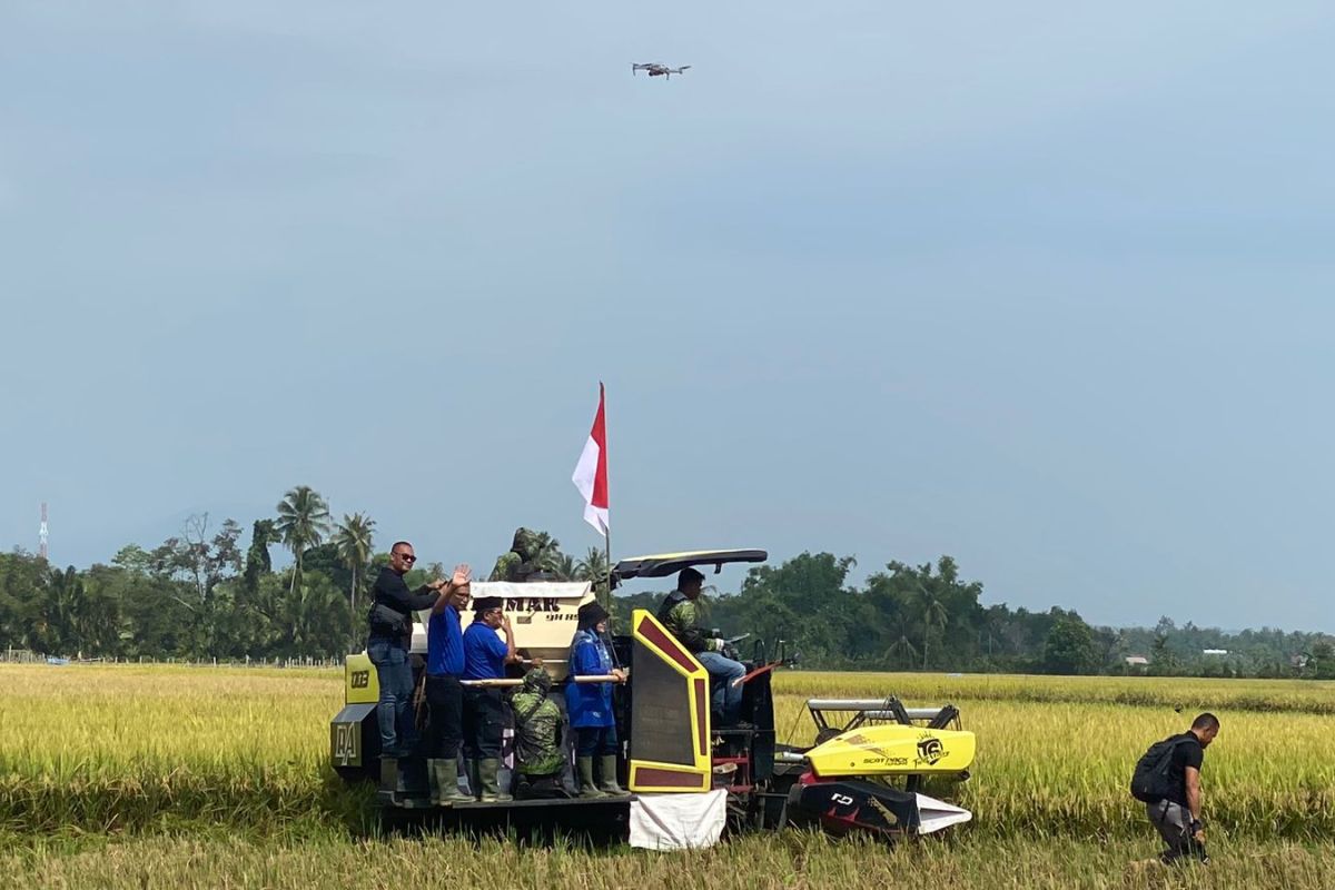 Pidie sukses laksanakan gerakan panen padi nusantara satu juta hektare
