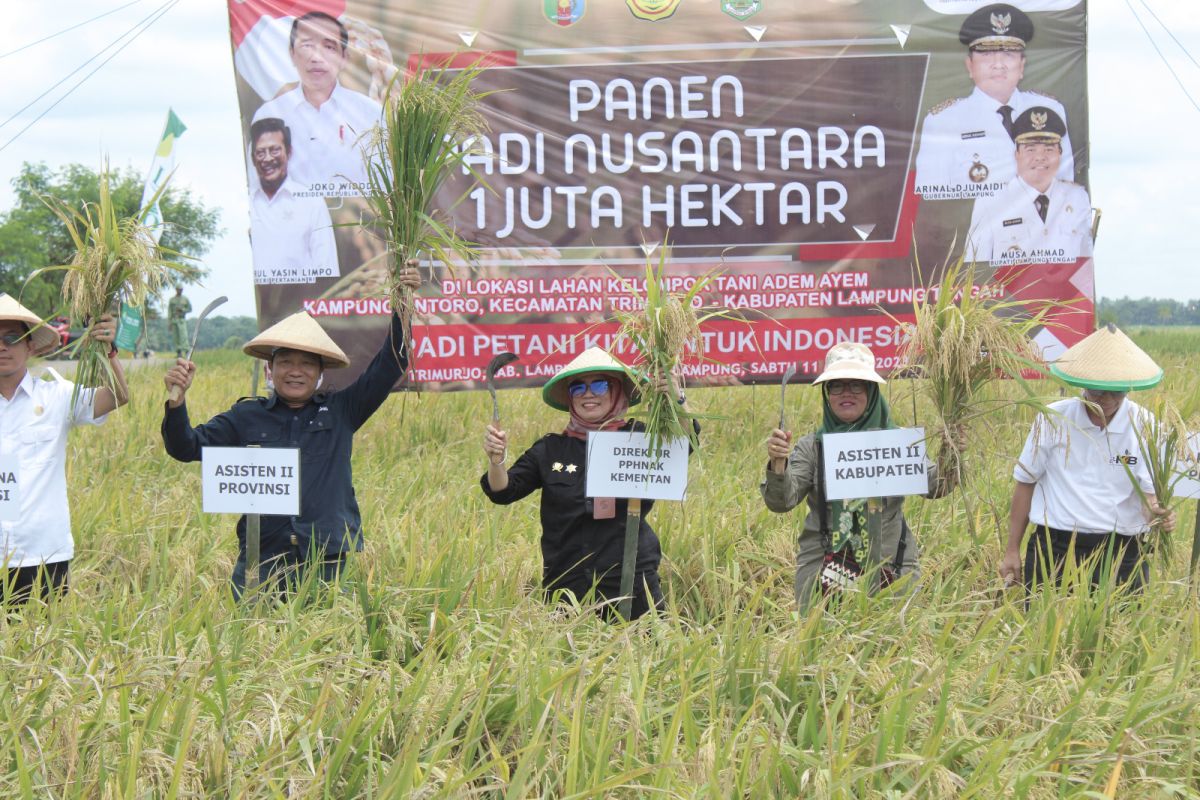 Lampung didorong tingkatkan produksi padi