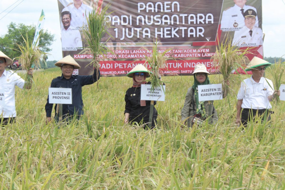 Kementan dorong Lampung  tingkatkan produksi padi