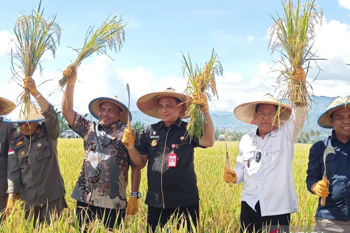 Pemprov Sulteng: Peran petani strategis tingkatkan ekonomi daerah