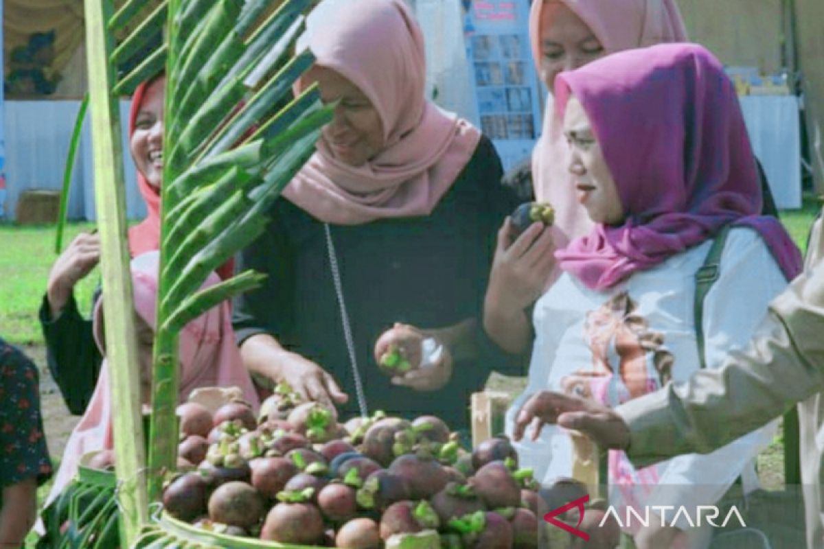 Pelepasan ekspor manggis varietas Wanayasa warnai Festival Manggis Purwakarta 2023