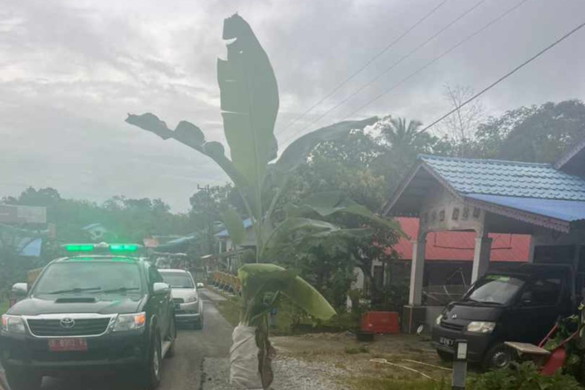 Wabup Kapuas Hulu tanggapi aksi warga tanam pohon pisang di jalan nasional