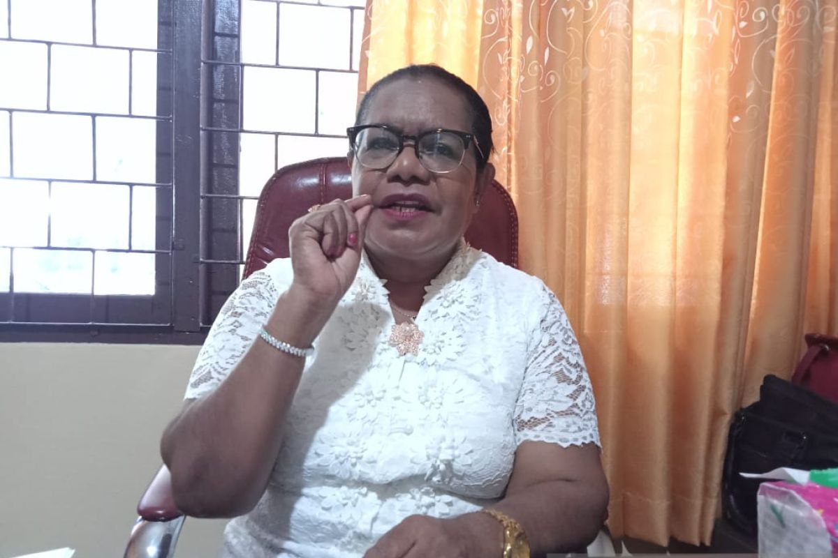 Dinas pemberdayaan perempuan Jayapura mendorong pengesahan RUU PPRT