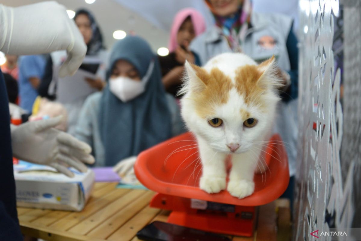 Kenali gejala-pencegahan rabies pada manusia dan hewan