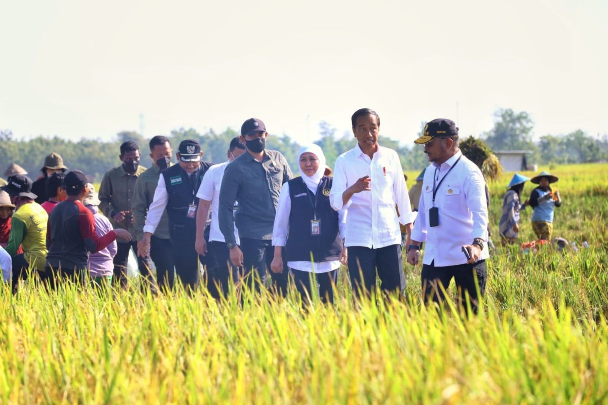 Khofifah komitmen tingkatkan panen beras di Jawa Timur