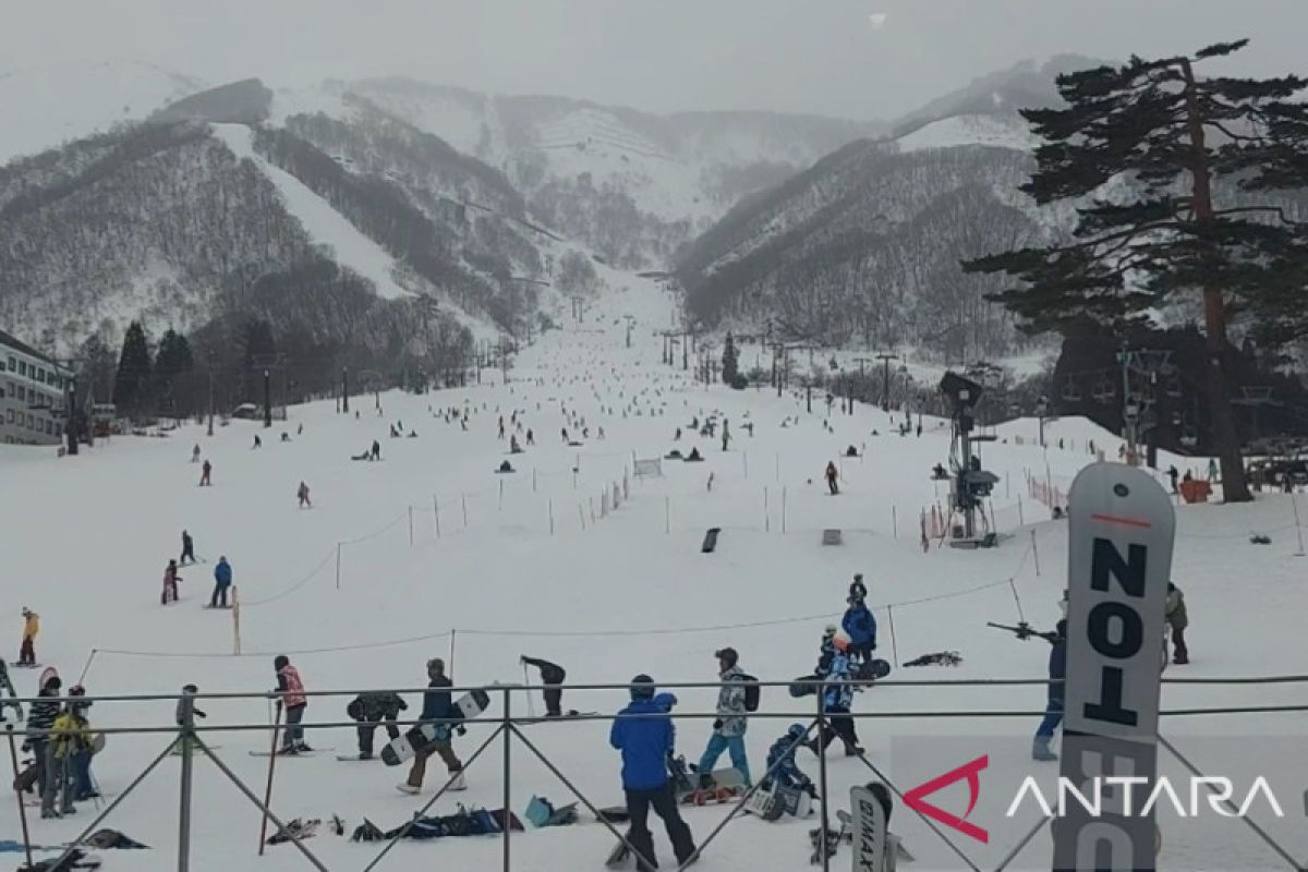 Hakuba Japan as a magnet for ski lovers