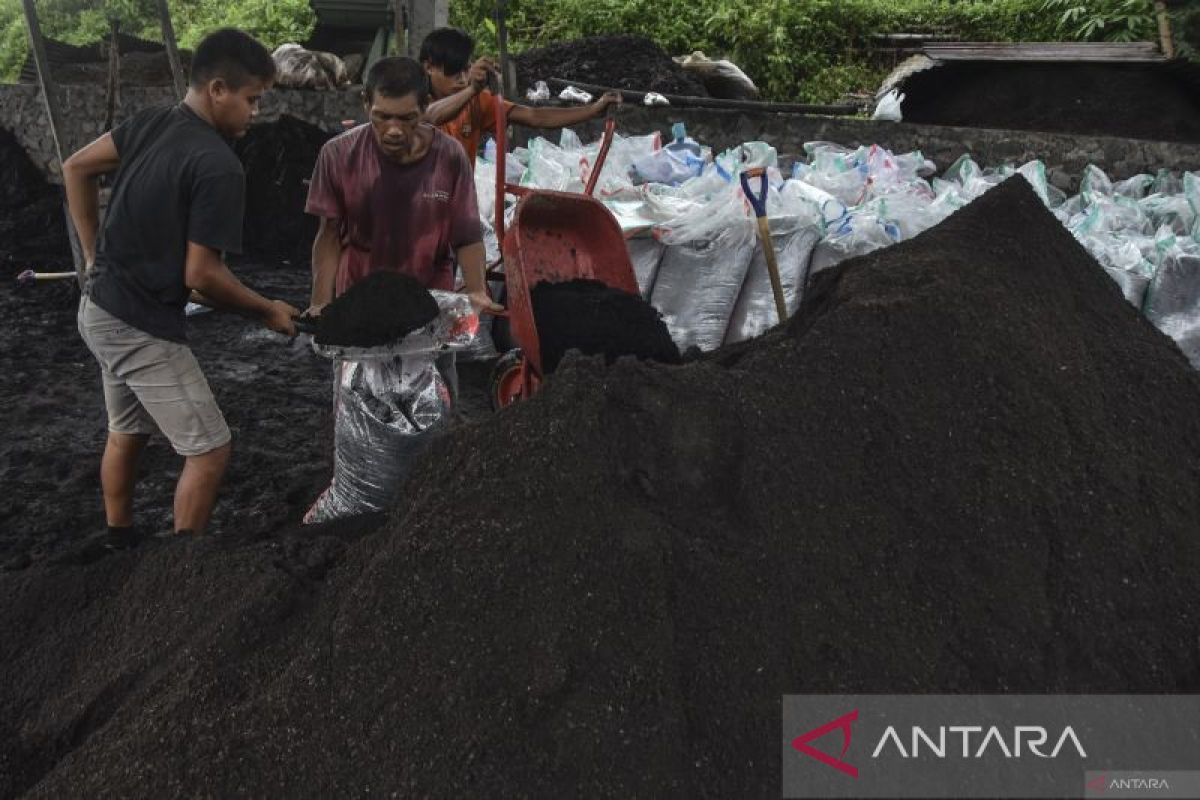 Petani Solok Selatan agar olah kotoran sapi jadi pupuk kompos