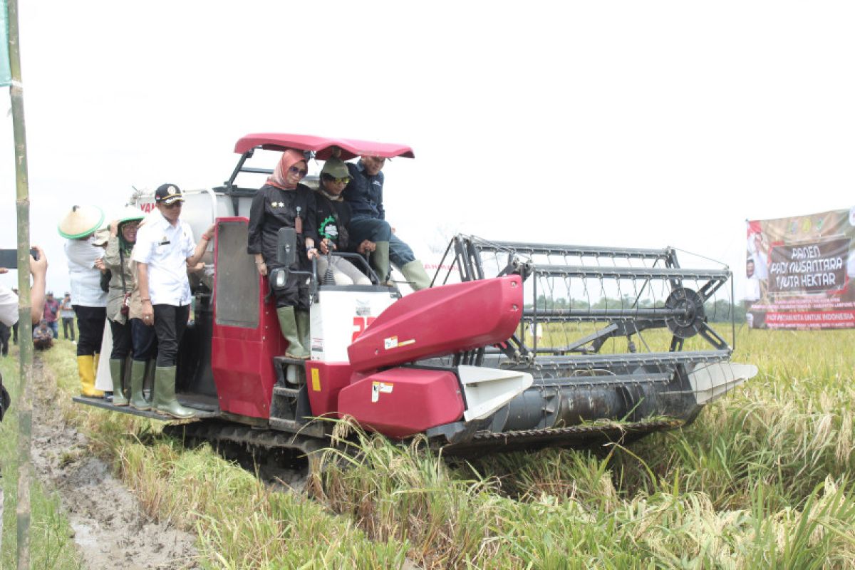 Lampung Tengah siap dukung gerakan panen raya padi sejuta hektare