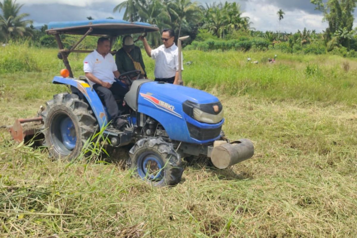 Pemkab Jayapura luncurkan gerakan menanam jagung Distrik Nimbokrang