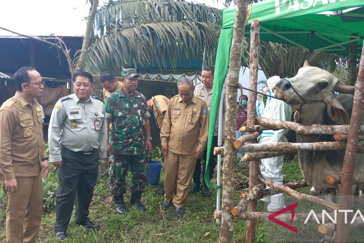 Bangka Tengah gelar vaksin PMK dosis tiga