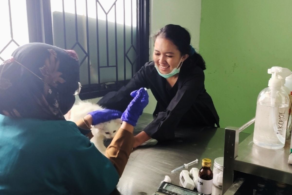 Lampung sediakan layanan kesehatan keliling bagi hewan peliharaan
