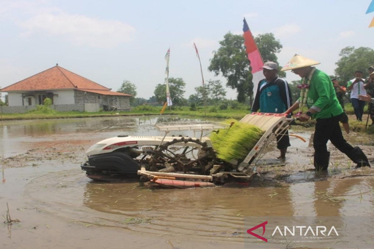 Pemkab Bangkalan tingkatkan ekonomi pertanian teknologi tepat guna