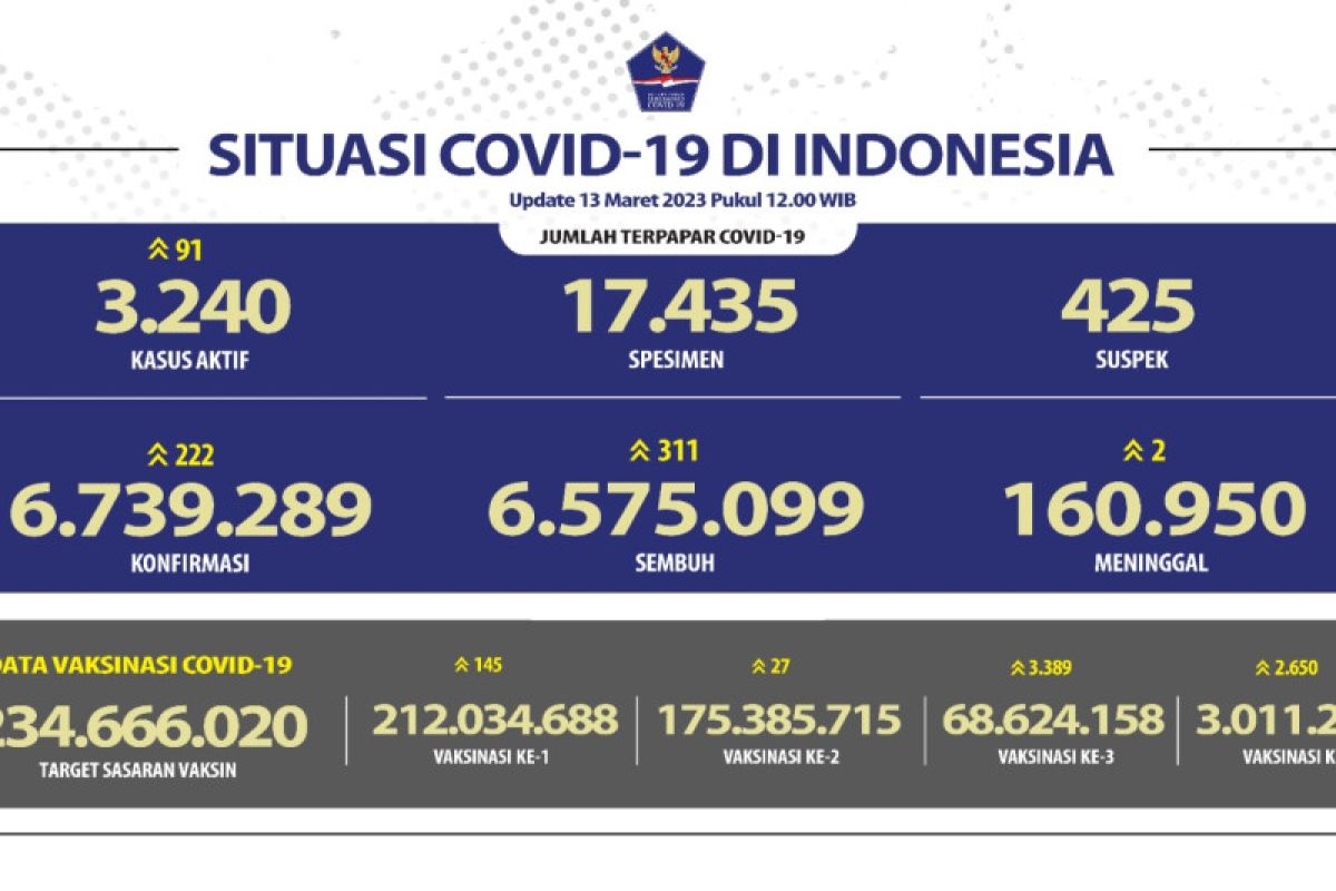 Kasus positif COVID-19 di Indonesia bertambah 222 pada Senin