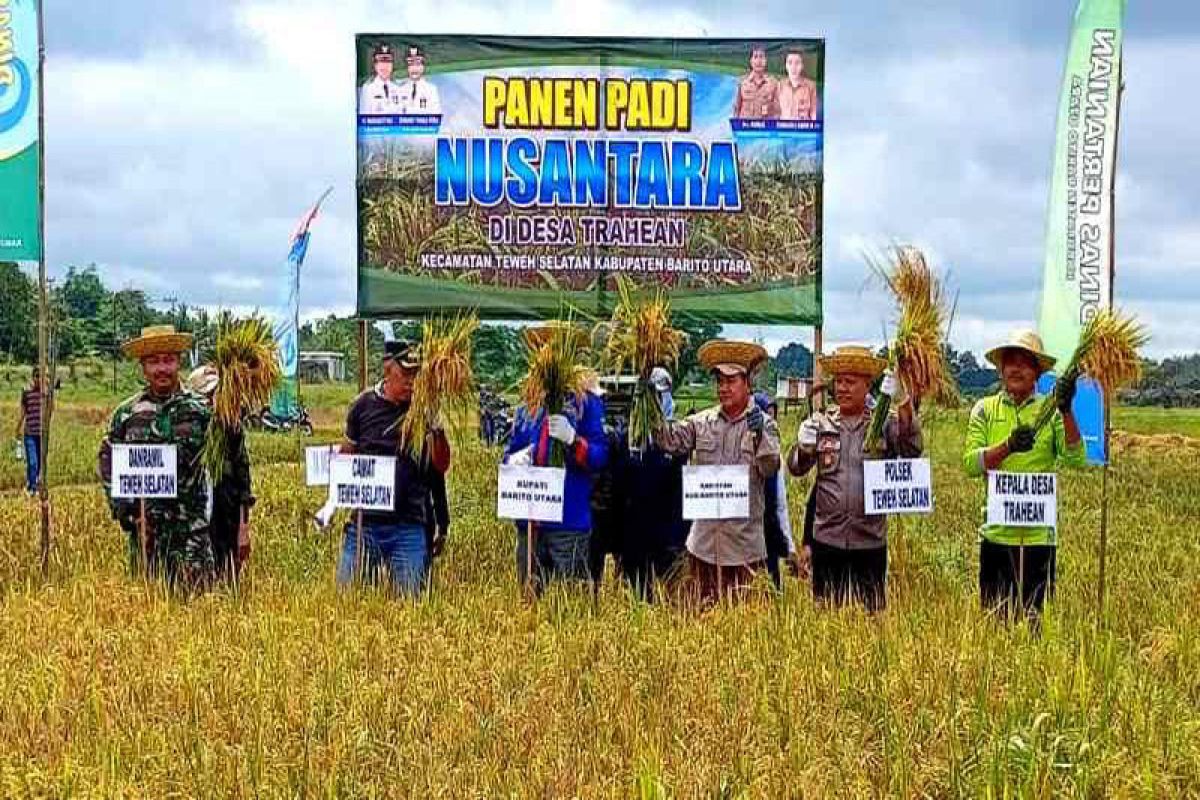 Barito Utara ikut panen raya 1 juta hektare