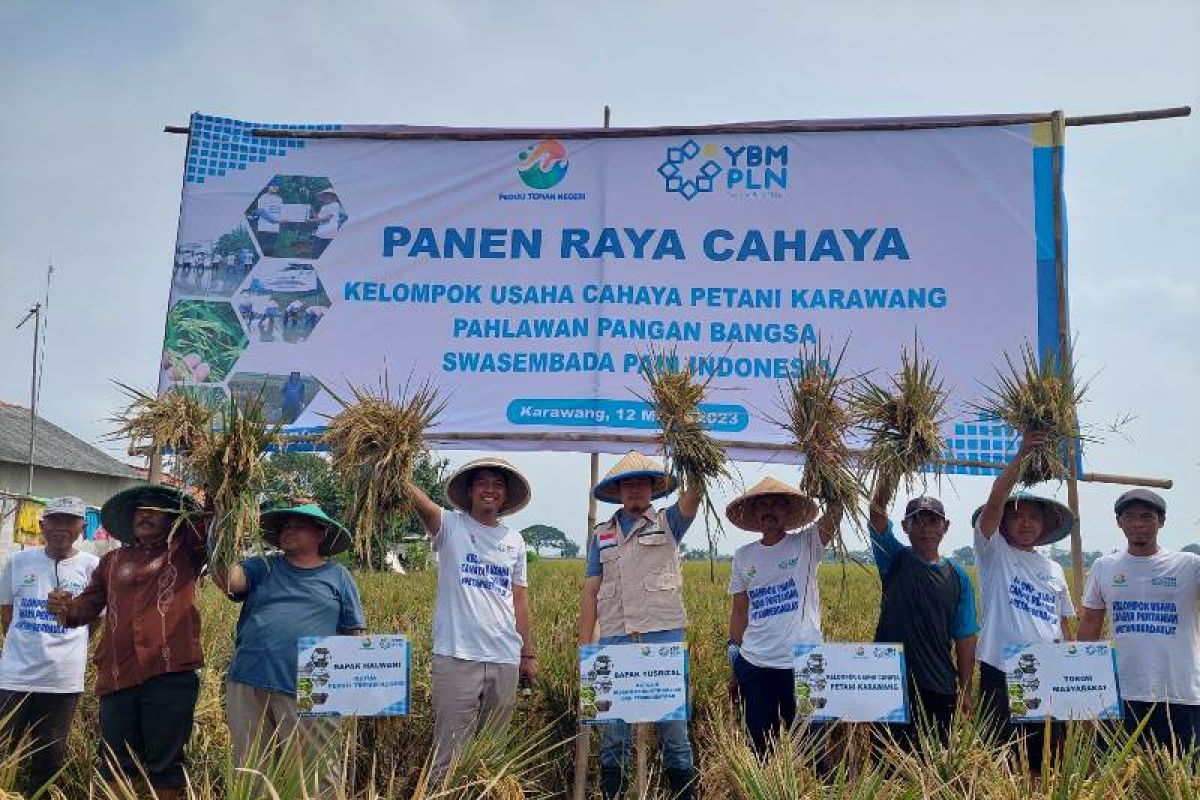 YBM PLN panen raya Program Pemberdayaan Pahlawan Pangan Bangsa di Karawang