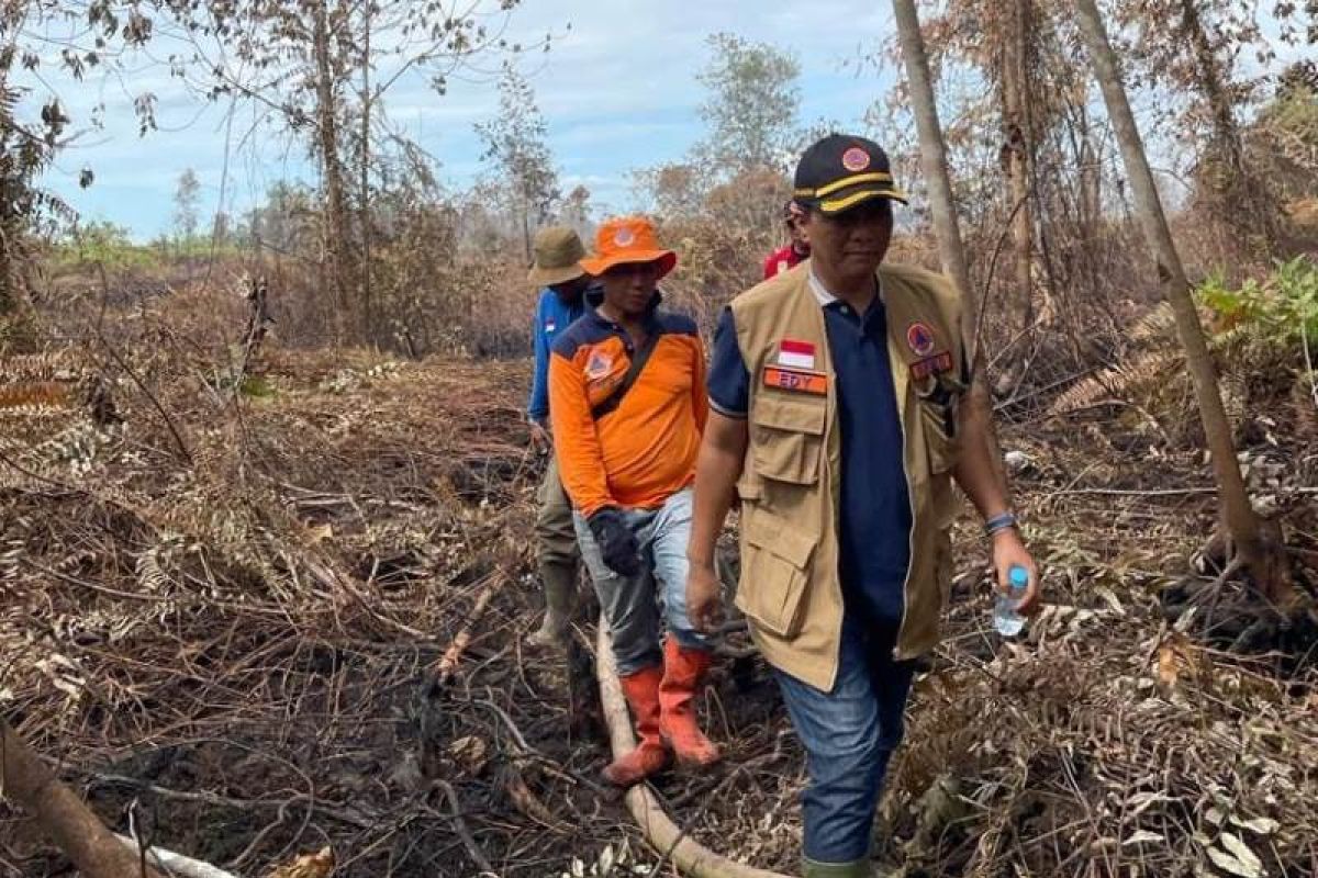 BPBD sebut lahan terbakar di Riau capai 16 hektare hingga awal Maret