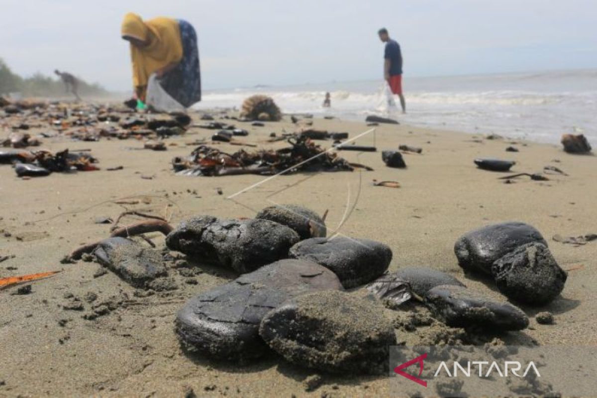 DLHK Aceh Barat telusuri tumpahan 5 ton batu bara di pesisir pantai