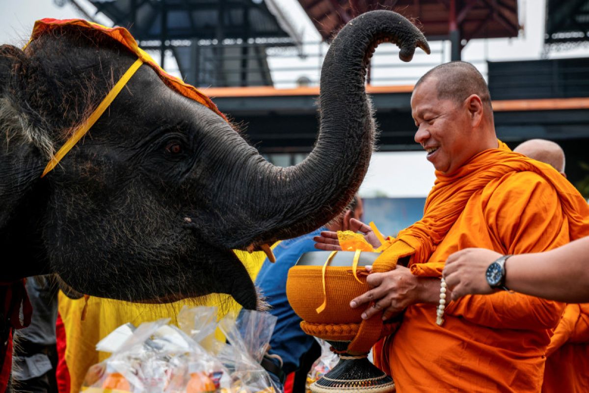 Gajah dihormati sebagai bagian warisan bangsa Thailand
