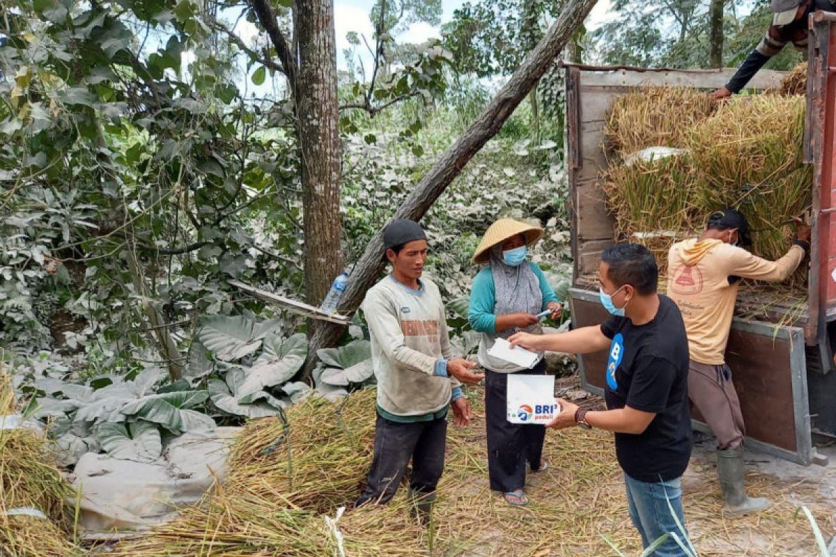 Tanggap Bencana Erupsi Gunung Merapi, BRI Salurkan Bantuan Bagi Warga Terdampak