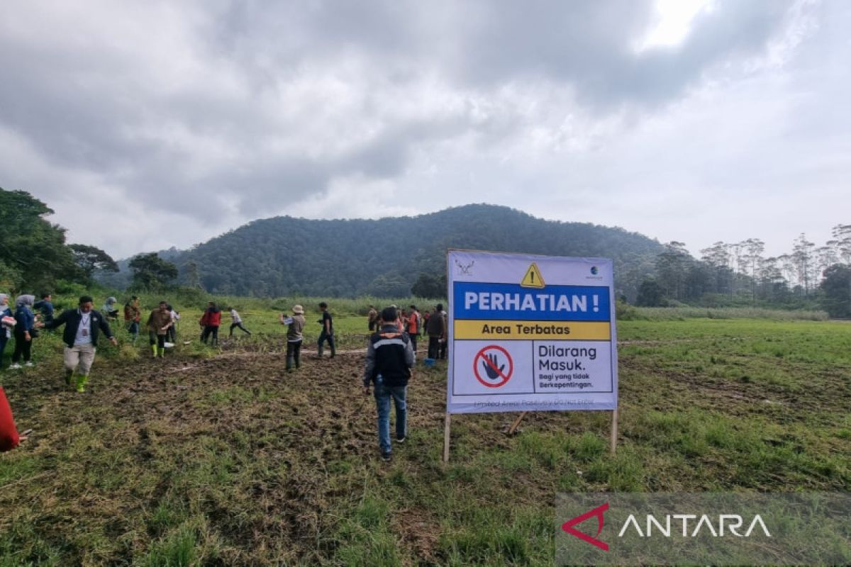 Perhutani kembali buka Rancaupas pasca ditutup karena kerusakan lahan