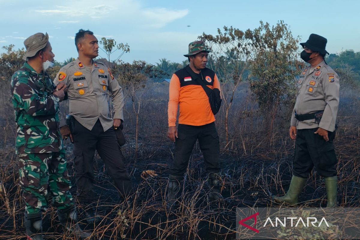 Satu hektare lahan gambut di Pulau Rangsang terbakar