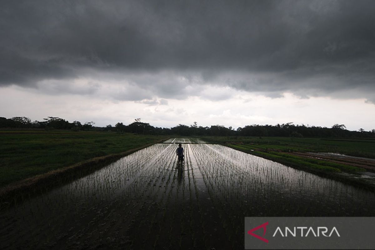 Prakiraan cuaca hari ini, bagaimana Kota Semarang?