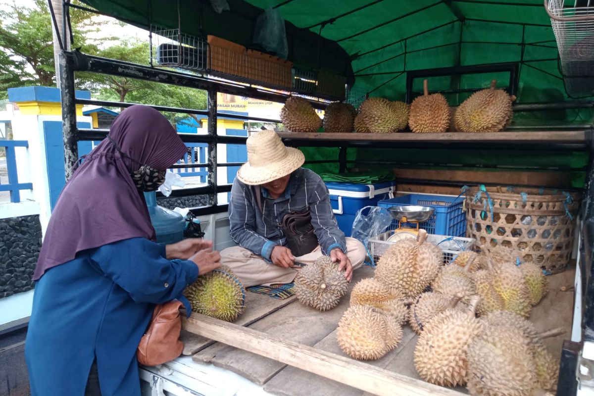 Pemkot Mataram NTB relokasi pedagang durian di Taman Jangkar Ampenan