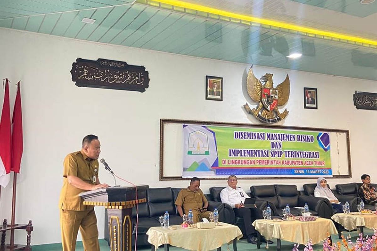 Pemkab Aceh Timur gelar diseminasi manajemen risiko