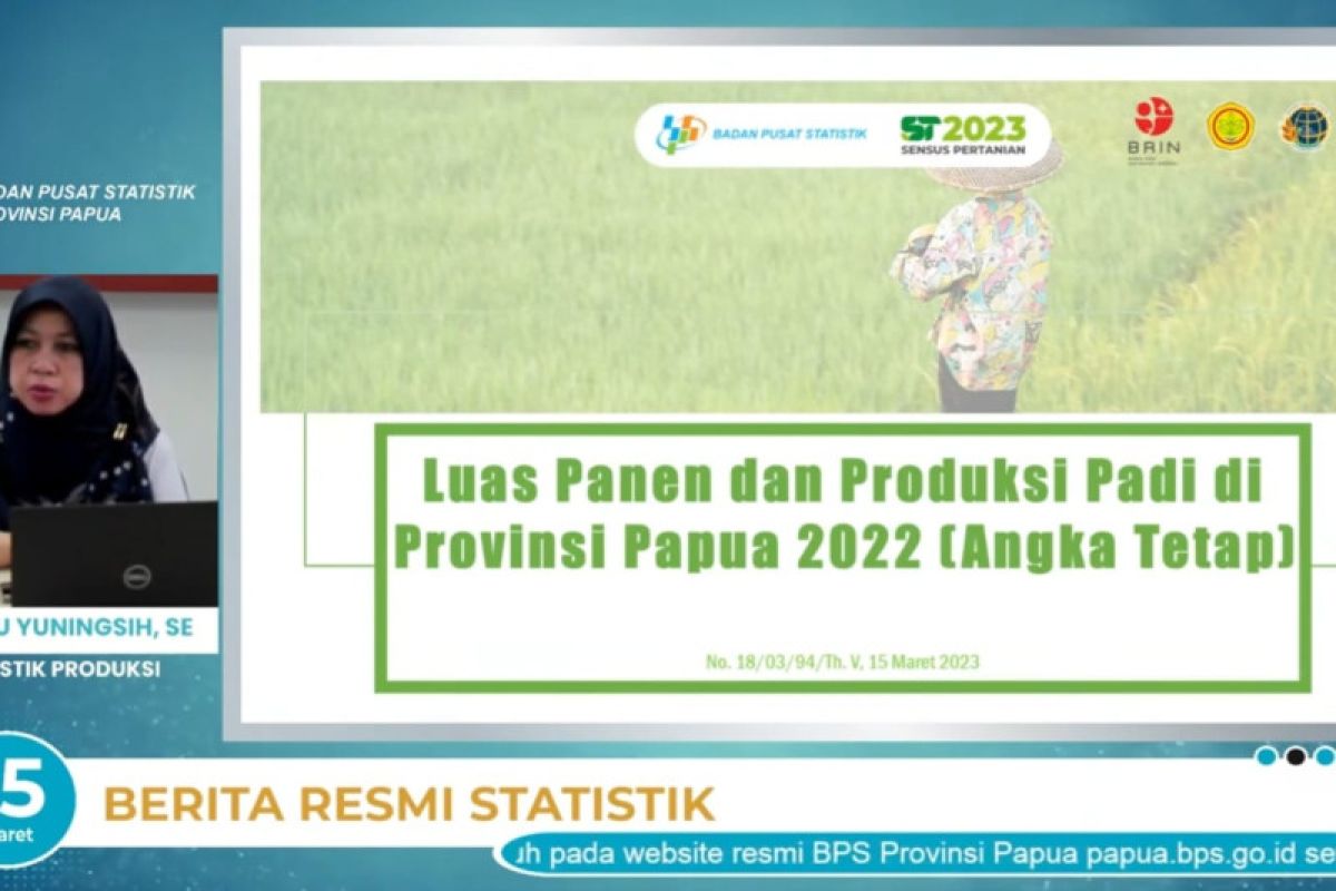 BPS Papua sebut luas panen padi 2022 capai 49.742 hektare