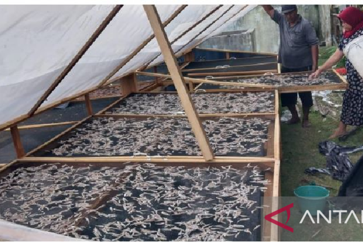 Pemkab Aceh Jaya kenalkan alat pengering ikan dan rebon tenaga surya ke nelayan