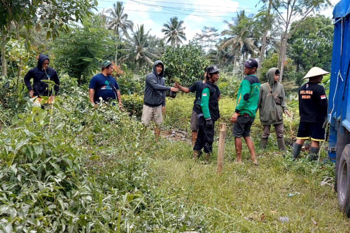 FMMH melanjutkan penghijauan di lereng Gunung Merapi pascaerupsi