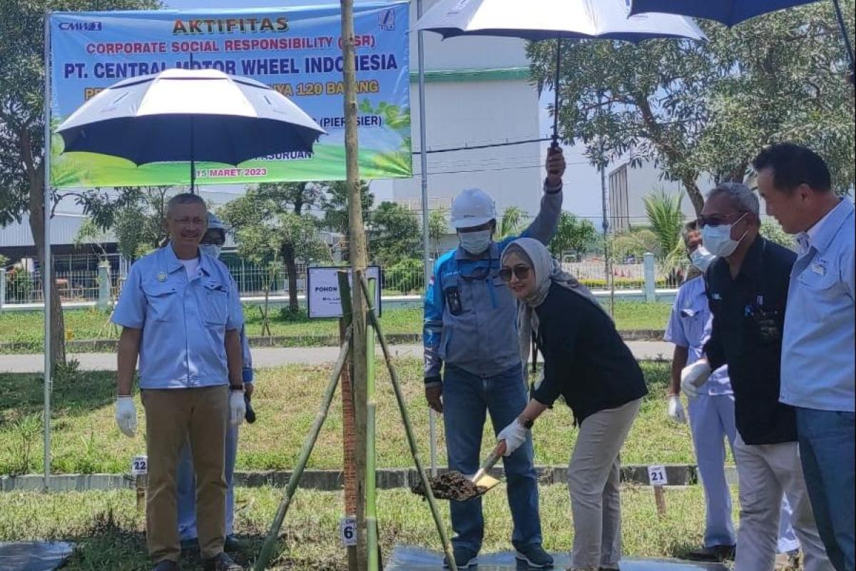 SIER dan CMWI jaga lingkungan melalui penanaman 120 tabebuya