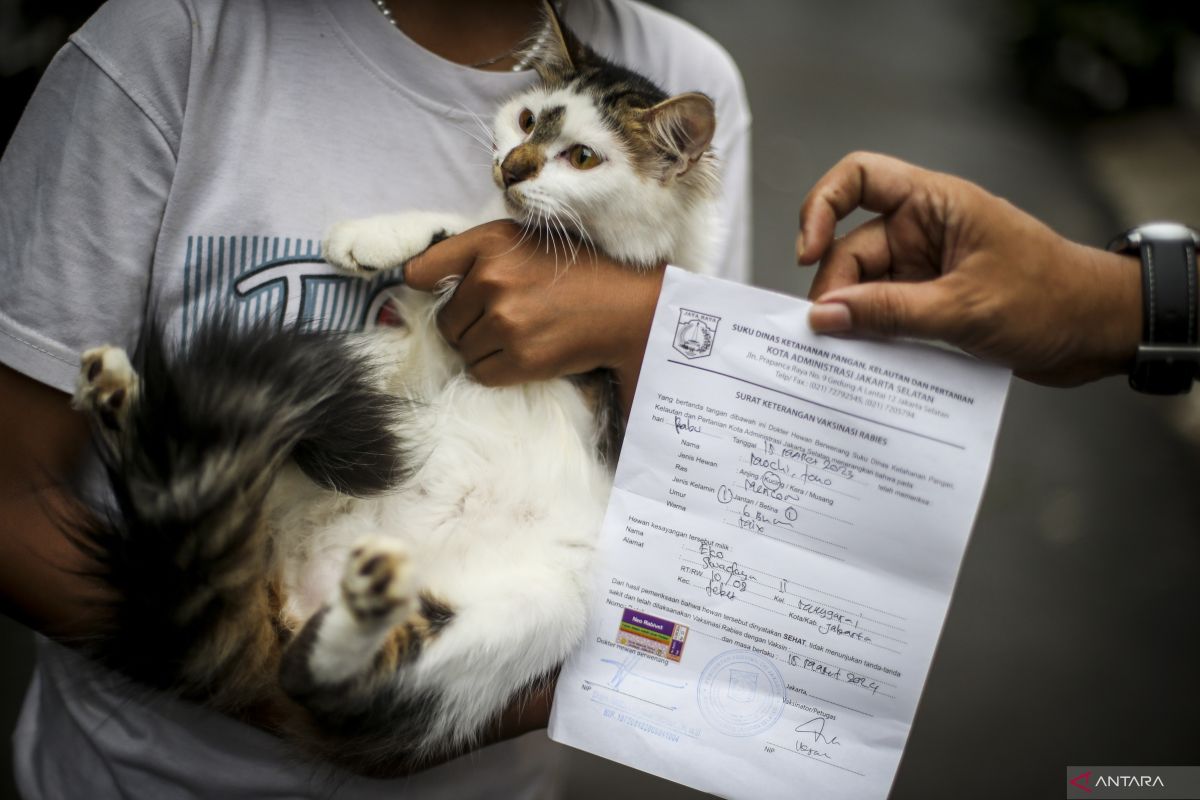 Jakarta boosts rabies vaccination and sterilization efforts