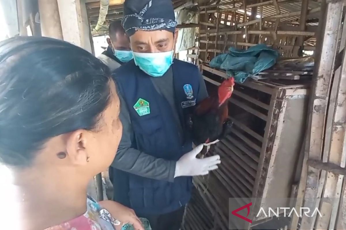 DKPP Kabupaten Madiun sosialisasikan waspada penularan flu burung