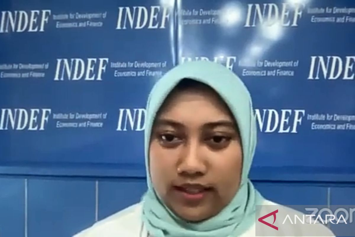 Indef ingatkan penurunan kinerja usaha rintisan