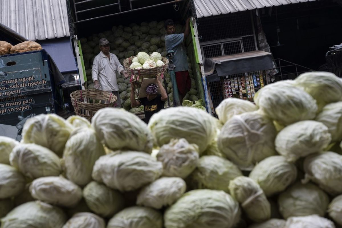 Album Asia Merasakan Kehidupan Di Pasar Induk Kramat Jati Jakarta