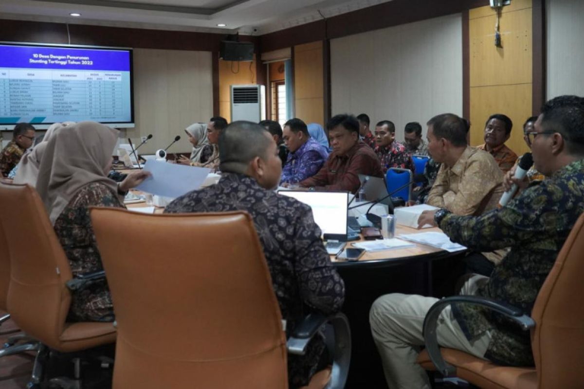 Wabup Merangin paparkan aksi konvergensi percepatan penurunan stunting 2022