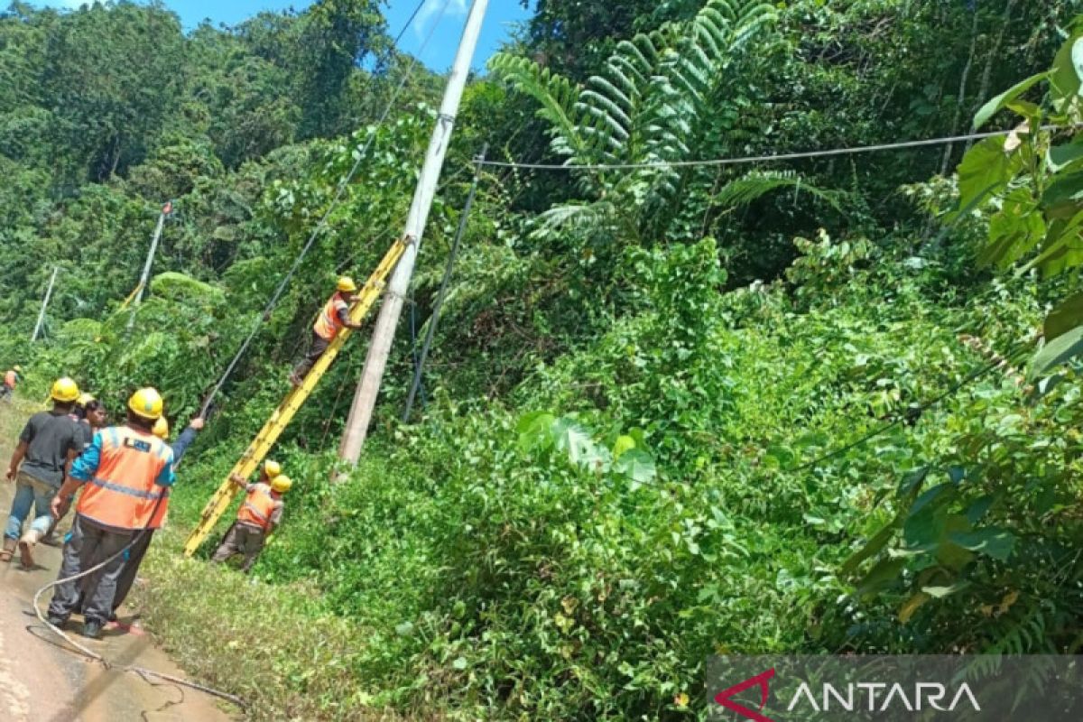 PLN pulihkan kelistrikan imbas cuaca ekstrem Morowali