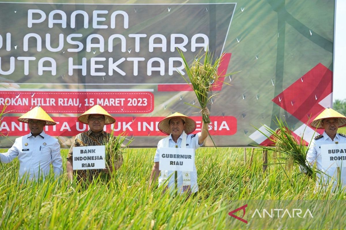 Gubernur Syamsuar panen raya Padi Nusantara 1 juta hektar di Rimba Melintang