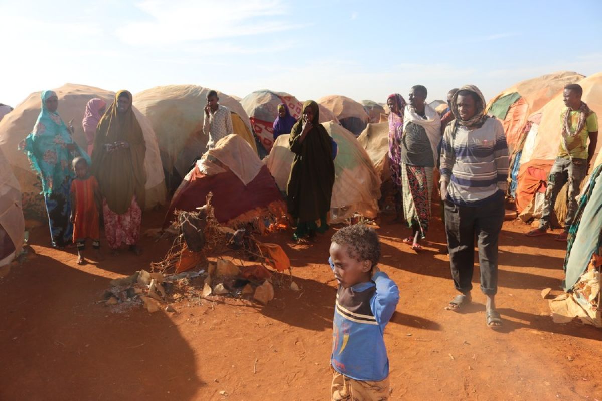 IOM sebut perubahan iklim picu pengungsian warga di Tanduk Afrika