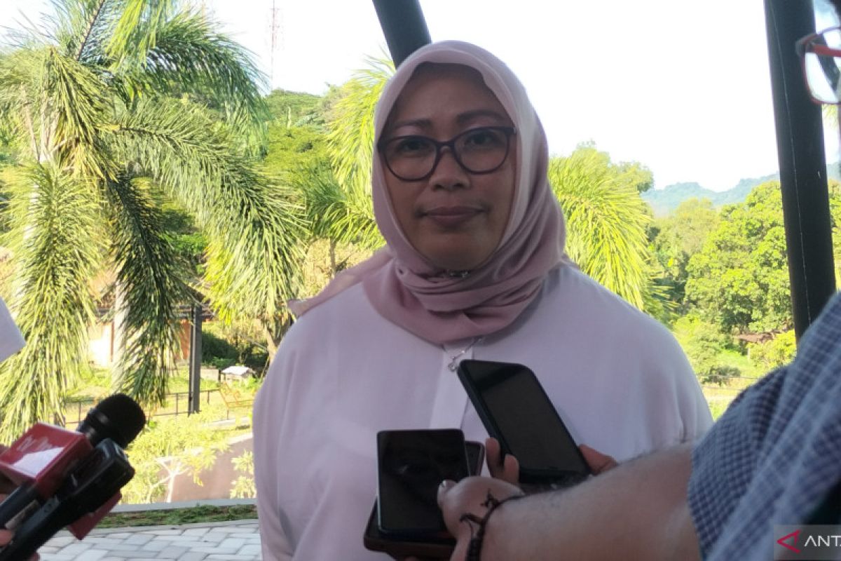 ASDP imbau pemudik membeli tiket dari jauh hari