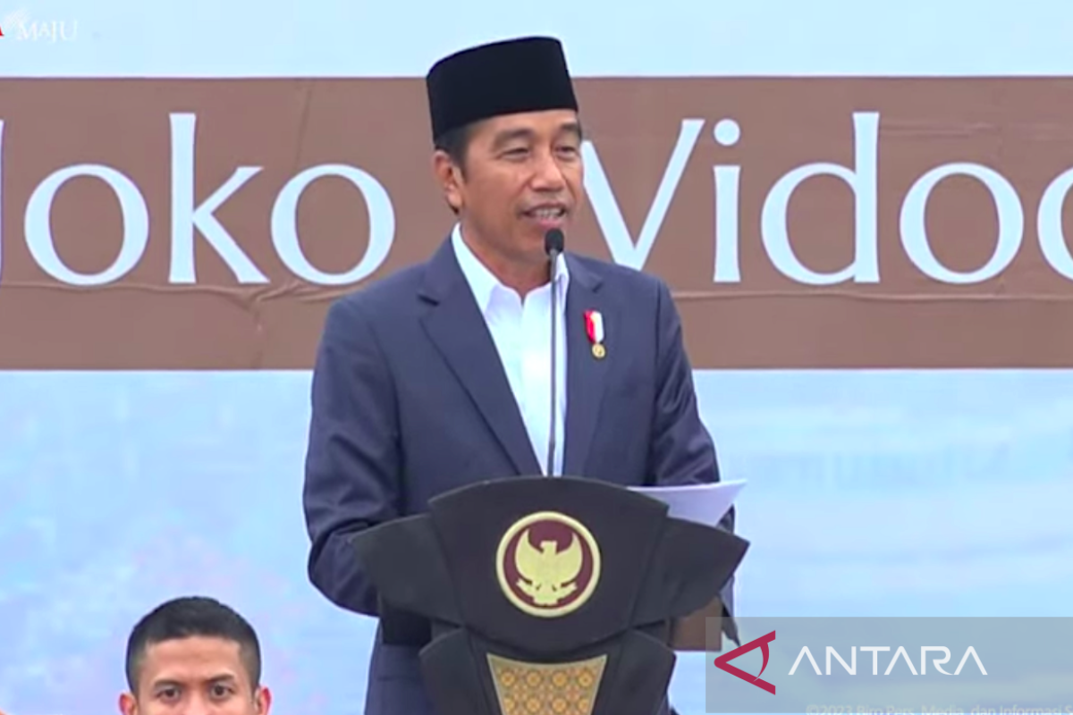 Jokowi sebut IKN pintu gerbang percepatan pembangunan