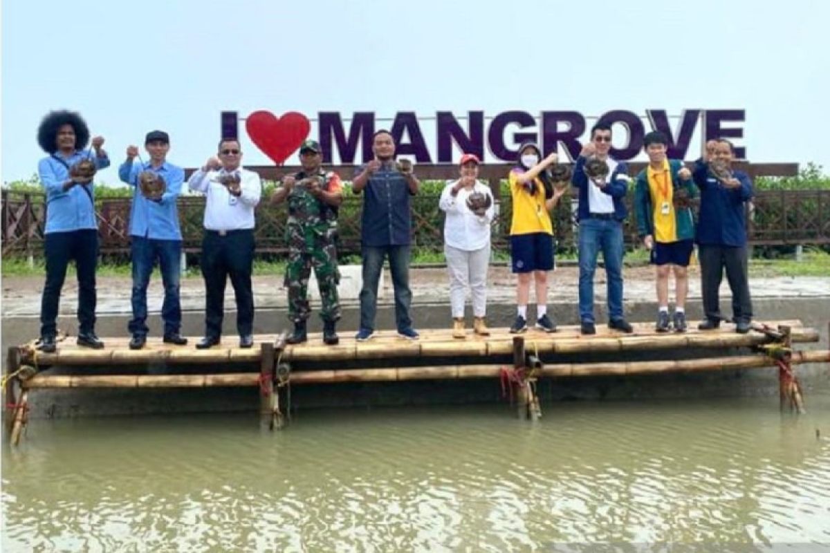 IKPP Tangerang gandeng pelajar hingga PWI tanam magrove dukung eco-tourism