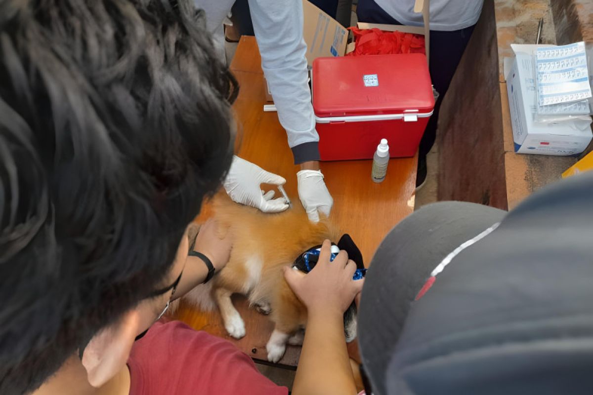 Bali implementasikan konsep One Health cegah rabies