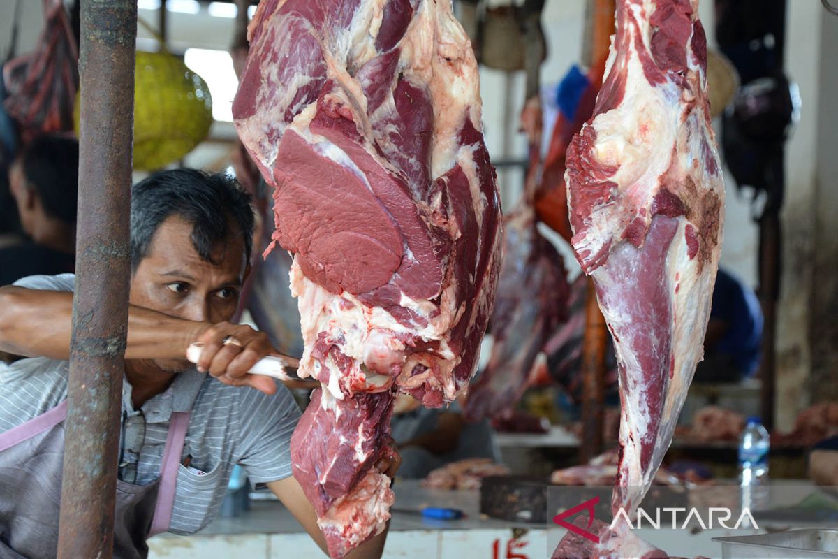 Harga daging naik jelang tradisi meugang Ramadhan