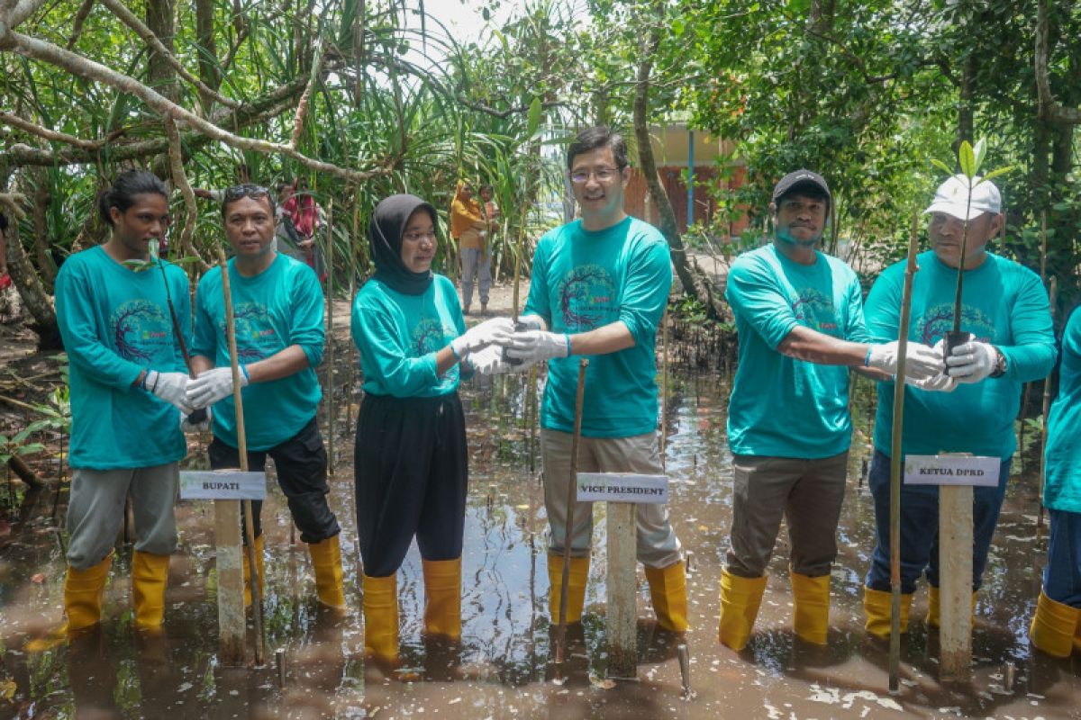 PT IWIP dan masyarakat Halmahera Tengah tanam mangrove lindungi kawasan pesisir